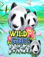 ยูฟ่าสล็อตเว็บตรง: วิถีใหม่แห่งการลุ้นโชคออนไลน์